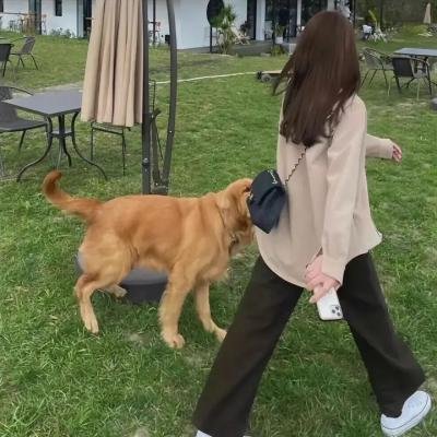 叔比狗:尼斯湖大水怪 封面