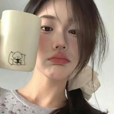 理想主义者 封面