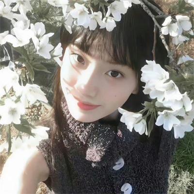 永恒美人 封面